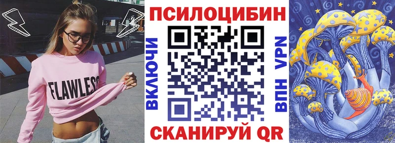 даркнет сайт  Цоци-Юрт  Псилоцибиновые грибы прущие грибы 