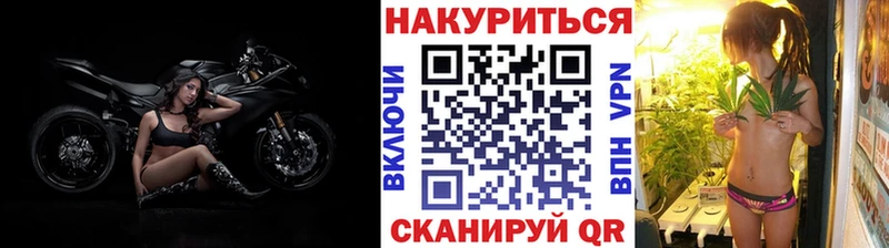 Каннабис OG Kush  сколько стоит  Цоци-Юрт 